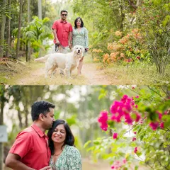 A lovely diptych from a family and pet photoshoot. The top image shows the full family enjoying a walk together, while the bottom image captures an intimate moment of affection, highlighting the deep connection between them.