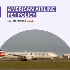 Here is a summary of the key information for American Airlines' pet policy. This carousel covers eligible pets, carrier requirements, and booking fees.