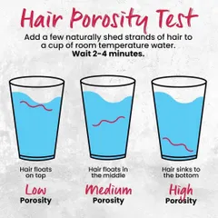 The Hair Porosity Test is a simple yet crucial step in hair analysis. This graphic explains how to test for low, medium, and high porosity and why it matters for product choice and application.