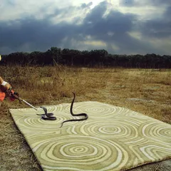 This is one of my earliest conceptual shoots, combining a luxury rug with the raw, mystical element of a snake charmer. It’s about creating a bold, unexpected narrative that makes people look twice.
