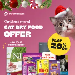 A Christmas special just for our feline friends at the Jayanagar store. Get a flat 20% off on a wide range of popular cat dry food brands like Royal Canin, Whiskas, and Friskies.