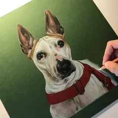 This is a portrait of my own dog, Chinku. Creating this piece helped me realize how important it is to preserve these cherished memories, capturing the soul behind the eyes. This is a work in progress, drawn with professional color pencils on archival paper.
