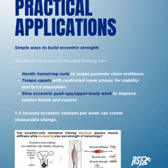 I translate sports science into practical application. Simple, targeted exercises like Nordic hamstring curls and tempo squats are used to build eccentric strength and create measurable change.