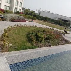 A poolside landscape we designed for a property in Gorakhpur. The layout includes gentle slopes, mixed flower beds, and lawn areas that create a relaxing resort-like atmosphere.