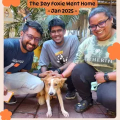 The moment it all becomes worth it. This is the day Foxie went home with her new family. Every adoption opens up a space at our shelter for another animal in need and creates a new, loving family.