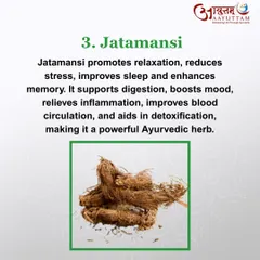 Jatamansi is a powerful Ayurvedic herb that promotes relaxation and reduces stress. It supports a calm mind, which is crucial for improving sleep quality.