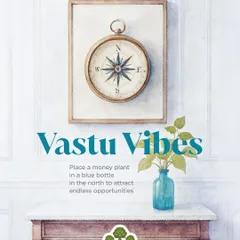 A simple Vastu hack for new opportunities is placing a Money Plant in a blue bottle in the North. This placement is believed to open doors and attract career growth.