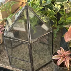 This house-shaped geometric container is part of my new collection of premium imported glassware. Its unique shape provides a beautiful frame for a miniature garden.
