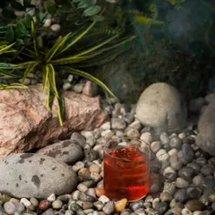 The Zen garden provides a beautiful, natural backdrop for product photography. Here, a drink from the bar is placed among the misty pebbles and greenery, showcasing how our designs can elevate the overall brand experience for a client.