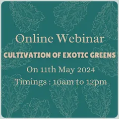 Our online webinar on the cultivation of exotic greens like kale, basil, and lettuce, covering everything from growing practices to marketing aspects.