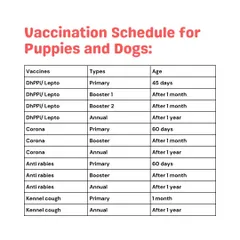 Keeping track of your puppy's shots can be overwhelming. This clear vaccination schedule for dogs is an example of the guidance I provide, ensuring your pet gets the right protection at the right time.