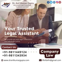 As your trusted legal assistant, we provide clear and effective legal consultation for all company law matters. This image represents our advisory role, where we work closely with clients to navigate complex legal landscapes and achieve their business objectives.