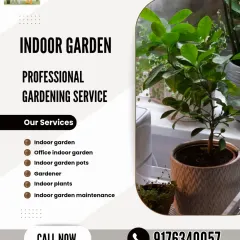 We provide professional indoor gardening services, from selecting the right indoor plants and pots to ongoing maintenance. This is a great way to improve air quality and add a touch of nature to your interiors.
