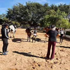 A proud moment for my young equestrians after passing their Horse Riding Grading Test 1. Under expert guidance, they are building the skills and confidence needed to advance.