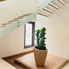 A tall Fiddle Leaf Fig stands elegantly at the base of a modern staircase. We chose a tapered planter to add height and sophistication, turning an empty landing into a stylish focal point.