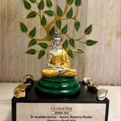 A close-up of the beautiful "Spa Manager of the Year" trophy from the Global Spa Awards 2024. This award is a symbol of my team's commitment to excellence in every aspect of the wellness journey we provide.