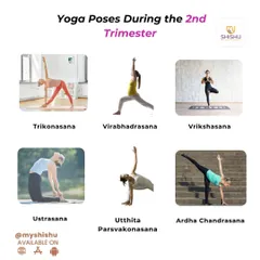 In the 2nd trimester, your body is ready for poses that stretch, align, and improve circulation. This guide includes asanas like Trikonasana and Vrikshasana to help you feel your best during this phase.