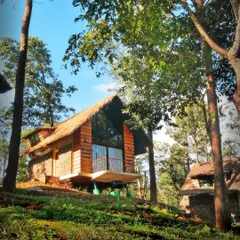 A log cabin-style cottage at Gorukana, surrounded by tall trees. The large glass windows and balcony offer beautiful views of the forest, blurring the line between indoors and outdoors.
