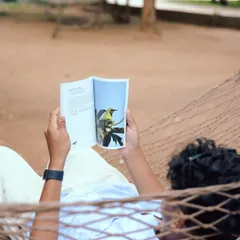 A guest enjoys a book about birds while relaxing in a hammock. It's the perfect way to combine leisure with learning about the nature that surrounds you.