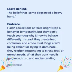 Let's leave behind the belief that some dogs need a "heavy hand." Harsh corrections create fear and erode trust. I embrace the understanding that dogs need guidance and support, not force.