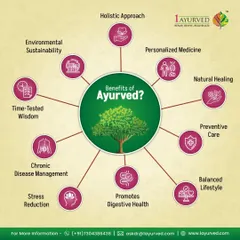This mind map illustrates the wide-ranging benefits of Ayurveda. Our system offers a holistic approach that includes personalized medicine, preventive care, stress reduction, and chronic disease management, all aimed at creating a balanced and healthy lifestyle.