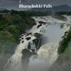 The breathtaking Bharachukki Falls, another highlight of the Shivanasamudra tour. The viewpoint offers a fantastic perspective of the cascading water.