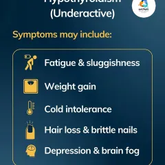Feeling tired, gaining weight, or struggling with brain fog? It could be your thyroid. This is a common symptom list for hypothyroidism, or an underactive thyroid. I create targeted nutrition and lifestyle plans to support hormone balance and help you feel like yourself again.