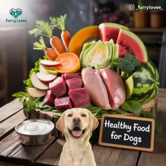 What does a healthy meal for a dog look like? This image showcases a beautiful spread of fresh, whole foods including lean meats, vegetables, and fruits that contribute to a balanced diet.