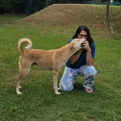 A beautiful, candid moment of love between a pet parent and her dog. Our relaxed, natural setting encourages these simple, joyful connections.