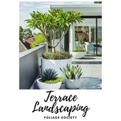 We design modern terrace landscapes like this one, using a combination of statement trees and smaller potted plants. Our goal is to create a private, stylish, and low-maintenance garden that extends your living space outdoors.