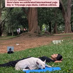 Our sessions are a space of 'Sukun', or deep peace. The park's gentle energy is infectious, and it's not uncommon for our four legged friends to join us for a moment of quiet rest. This is the kind of calm we cultivate together.
