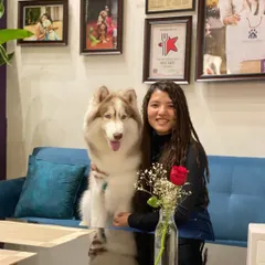 A beautiful husky and their parent enjoying a quiet moment at our café. Our space is designed to be a comfortable hangout for pets of all breeds and sizes.