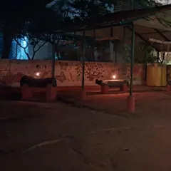 Our facility lit up for Diwali. We create a calm and festive atmosphere with pet-safe lights, ensuring the holidays are joyful, not stressful.