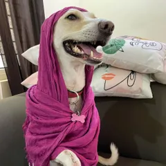 This is Joy, our resident fashionista. We have so much fun with our guests, and sometimes that includes a little dress-up. She looks fabulous, doesn't she?