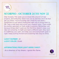 A snapshot from my weekly predictions for Capricorn, offering guidance and an affirmation from the Light Seers Tarot.