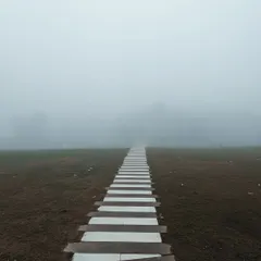A striped pathway disappears into the dense fog. This minimalist and symmetrical composition creates a sense of journeying into the unknown, highlighting the abstract beauty of a foggy day.