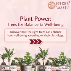 Plant power is real. This series explores how the right trees and plants can enhance your well-being according to Vedic principles, helping you nurture growth and harmony in your surroundings.