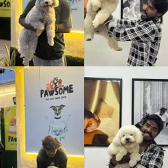 A collage of happy moments with this fluffy white poodle. Every photo tells a story of trust and happiness.