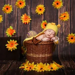 A whimsical setup featuring a baby dressed as a snail with a yellow knitted hat, nestled in a basket surrounded by sunflowers against a wooden backdrop.