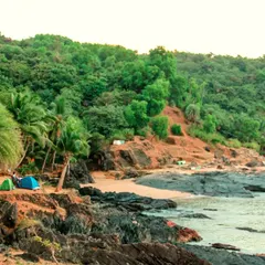 Tents pitched on a secluded beach in Gokarna. I can arrange unique beach camping experiences for a memorable trip.