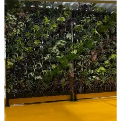 A large-scale vertical garden installed in a commercial building. The living wall is situated above a bright yellow floor, creating a bold and modern statement that enhances air quality and employee well-being.