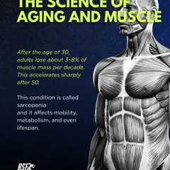 After age 30, we naturally lose muscle mass in a process called sarcopenia. My training approach directly combats this, preserving the muscle that is critical for mobility, metabolism, and lifespan.