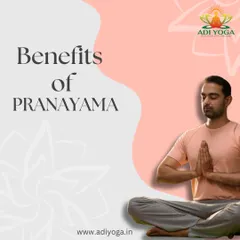 Breathe deep, live better. This graphic highlights the core benefits of Pranayama, which include enhanced relaxation, boosted energy, and improved mental clarity.