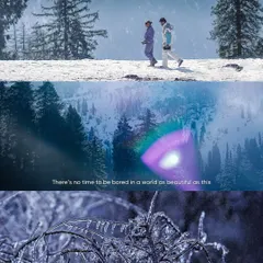 A collage of winter scenes from the Himalayas. The icy branches and snowy landscapes are paired with a quote about the beauty of the world, creating an inspiring and atmospheric piece.
