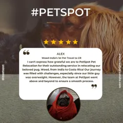 Thank you, Alex, for this amazing review about Weed the pug's journey to Costa Rica! He was a bit overweight, but we worked together to make it happen. I'm so happy we could make the process smooth for you.