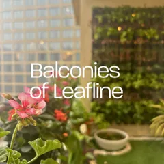 This city balcony combines a beautiful pink geranium with a full vertical garden in the background. It shows how I can create a focal point of color while maximizing green space against an urban backdrop.
