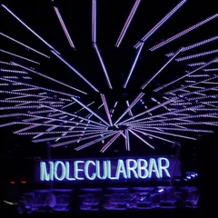 The 'Molecular Bar' setup, with a custom neon sign and a ceiling of radiating light tubes, making the bar area a central feature of the Sangeet's design.