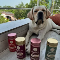Lolo is all about that healthy life, posing proudly with his collection of Furrever Fit treats. He loves the taste, and his parents love the 100% natural ingredients.
