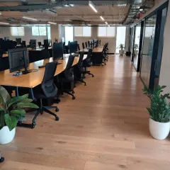 A look at how we integrate greenery into large office spaces. Strategically placed plants in clean, white planters enhance the work environment without disrupting the office flow, improving air quality and aesthetics.