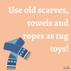 Have old scarves, towels, or ropes? Don't throw them out! Braid them together to make a fantastic and safe tug toy for your dog.